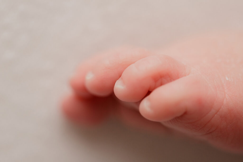 Fotografo neonati neonati Verona