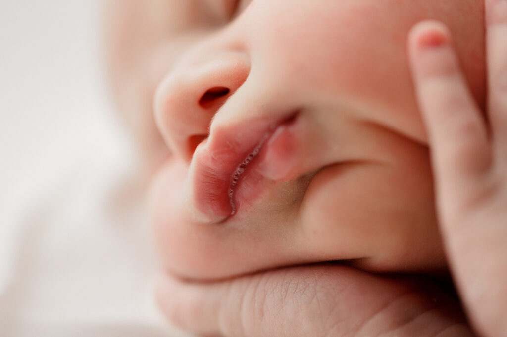 Fotografo neonati neonati Verona