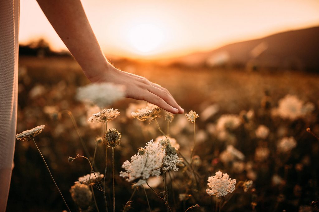 Servizi fotografici per famiglia a Verona Trento. Hunny Pixel ritratti di famiglia, fotografia di gravidanza, newborn.